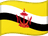 Flag of BN