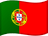 Flag of PT